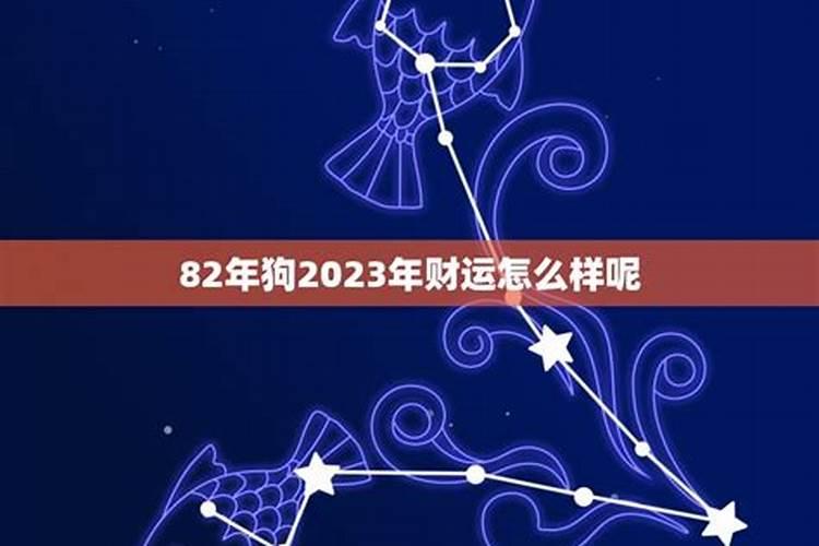 82年狗在2022年运势