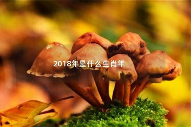 2018属什么生肖年狗