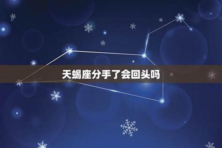 什么星座分手后会回头找你