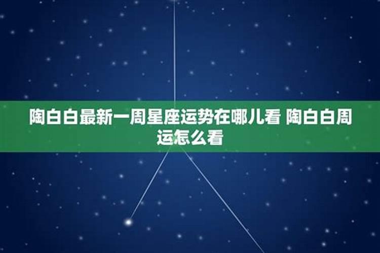 陶白白星座在哪里看