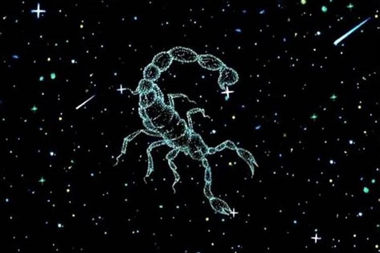 水象星座天蝎座的特别之处