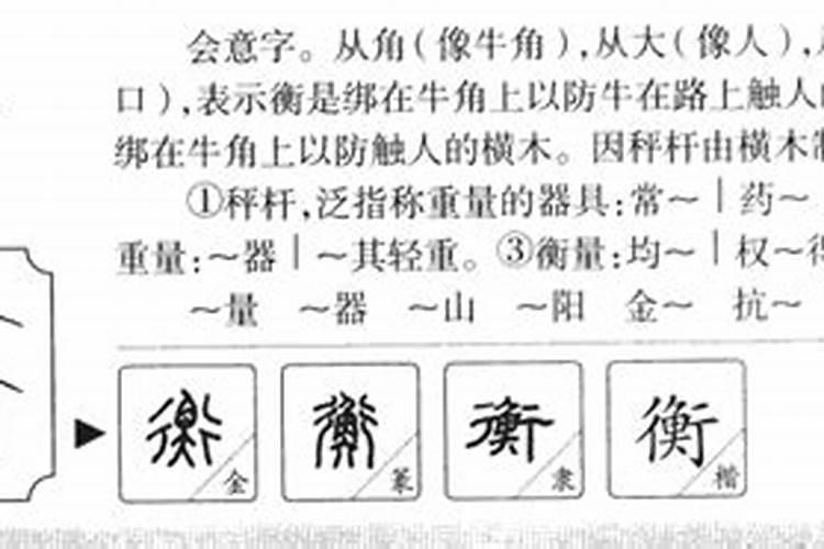 衡字的五行属什么