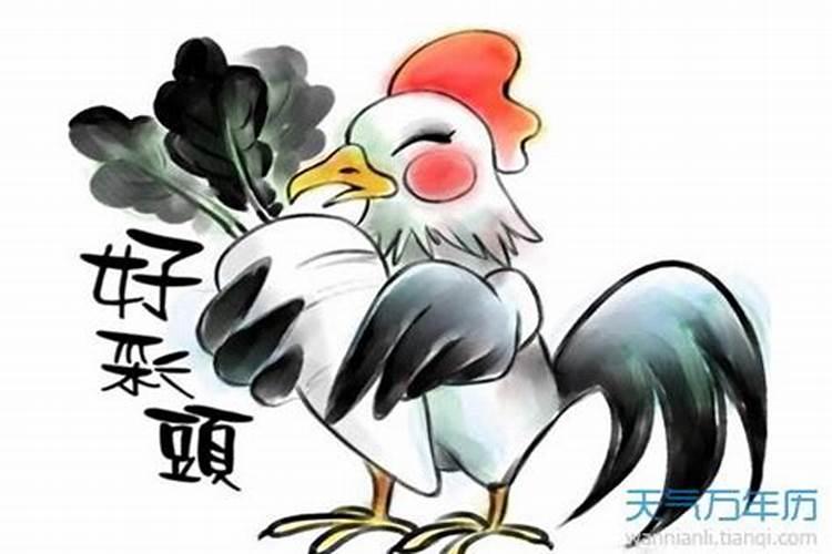 属鸡命不好吗