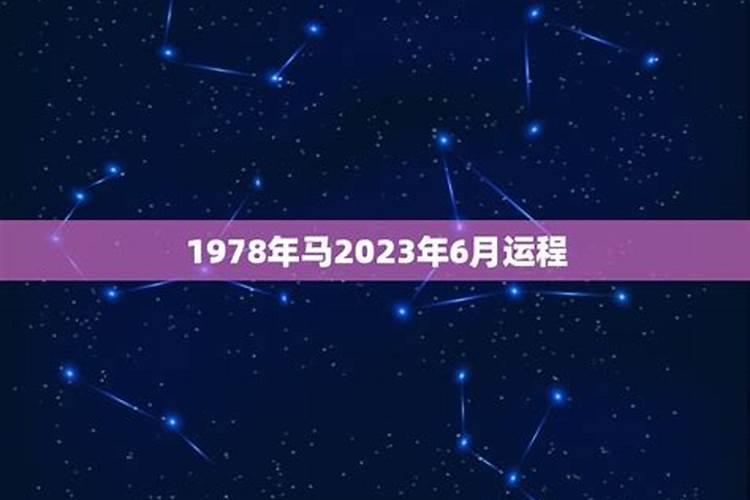 1978马下半年各月运势