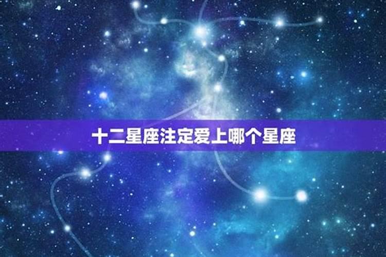 十二星座会爱上哪个星座