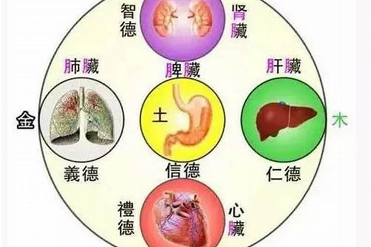 命里缺土会怎样