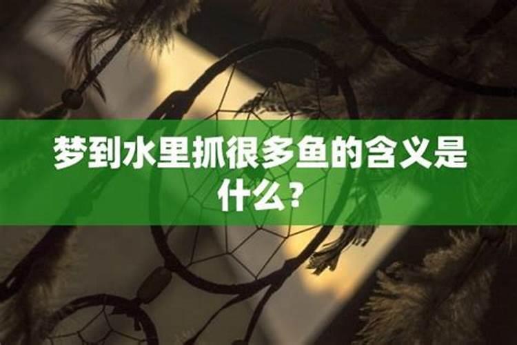 梦见水里好多鱼抓不到了