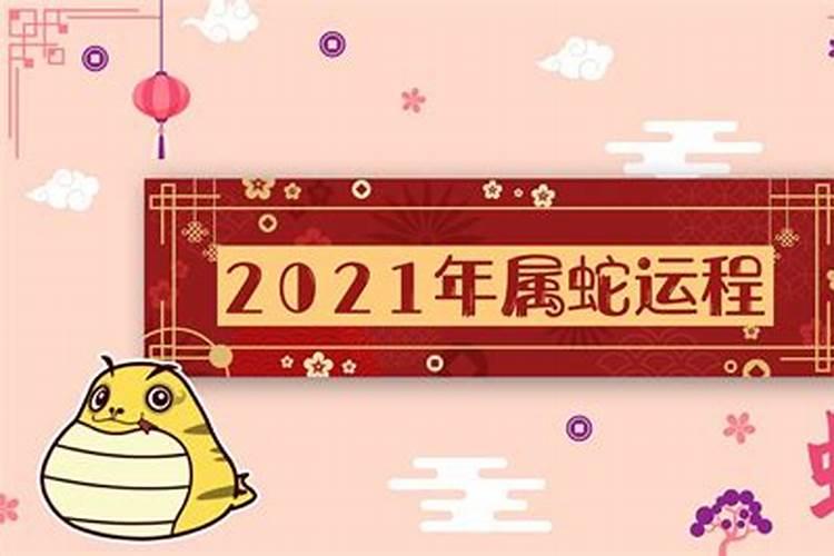 2021属蛇的事业