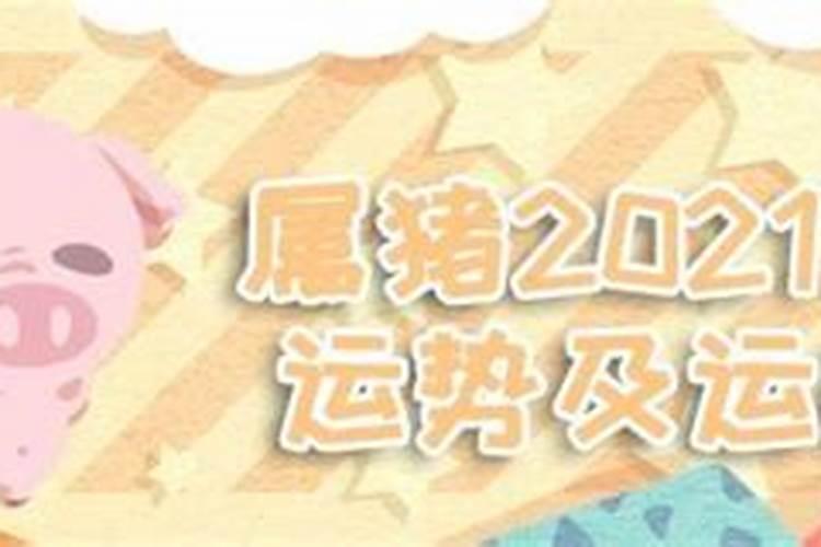 属猪人2021年每月运势详解