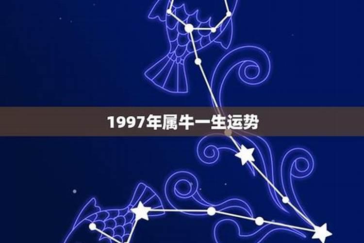 属牛的1997出生年运势