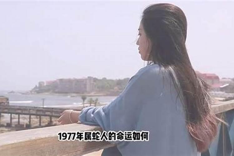 1977年什么命运