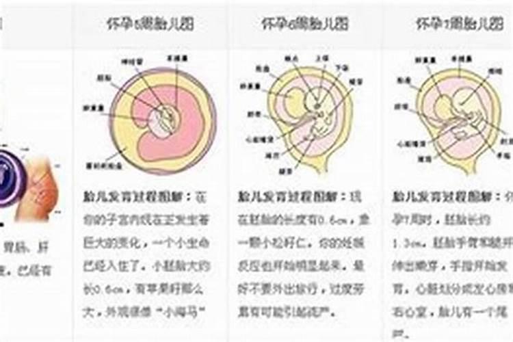 胎停跟风水有关系吗女孩