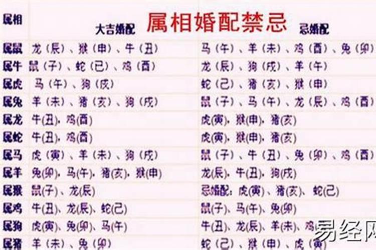 属龙和蛇命八字合不合