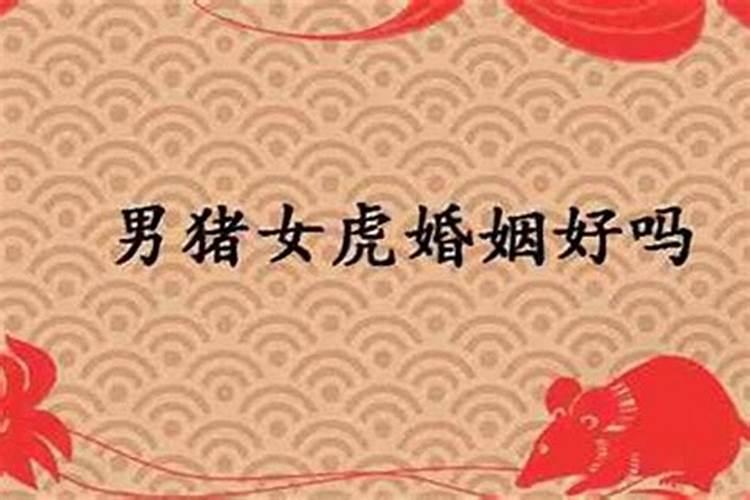 84年和86年婚姻相配吗