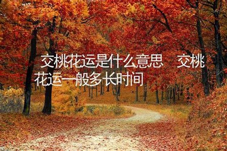 帮我算算桃花运吗