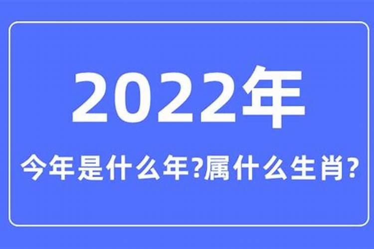 20228年属什么生肖