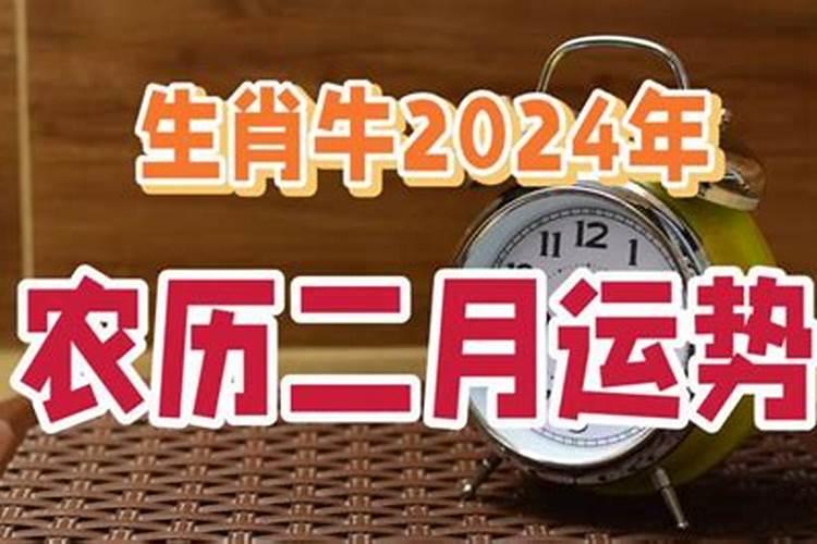 农历2月属牛人运程如何