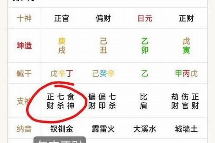 正印,偏财,日元,正官什么意思啊