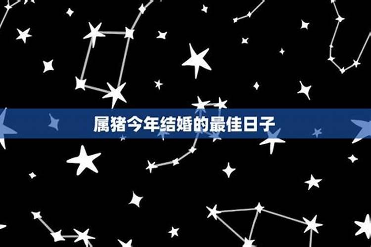 属猪今年结婚的黄道吉日