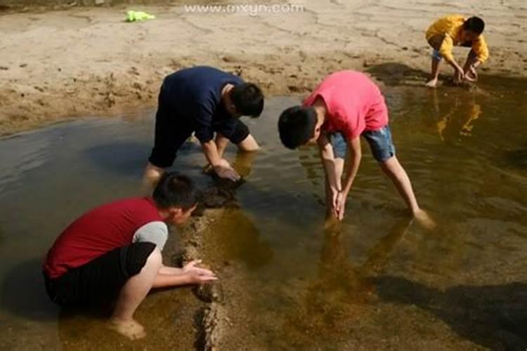 梦见抓鱼是什么预兆男性