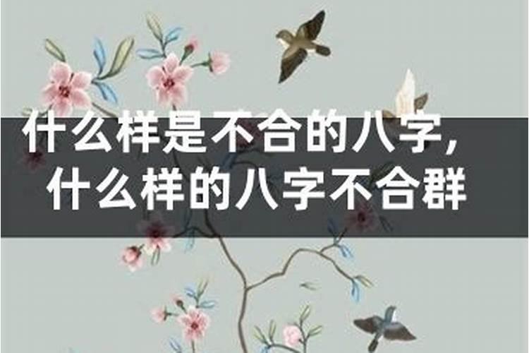 不合群八字特点