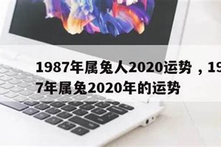 2020年属兔1987人的全年运势