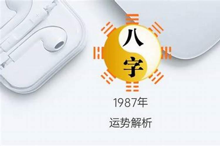 87年农历正月十一出生运势运势