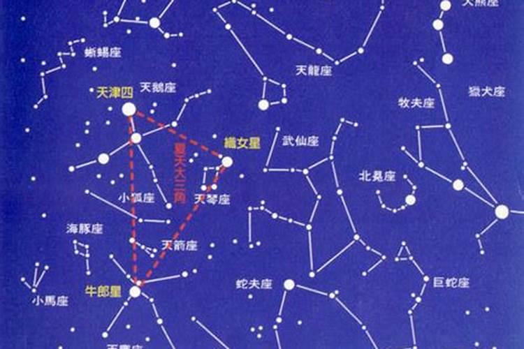 牛郎星座是什么星座