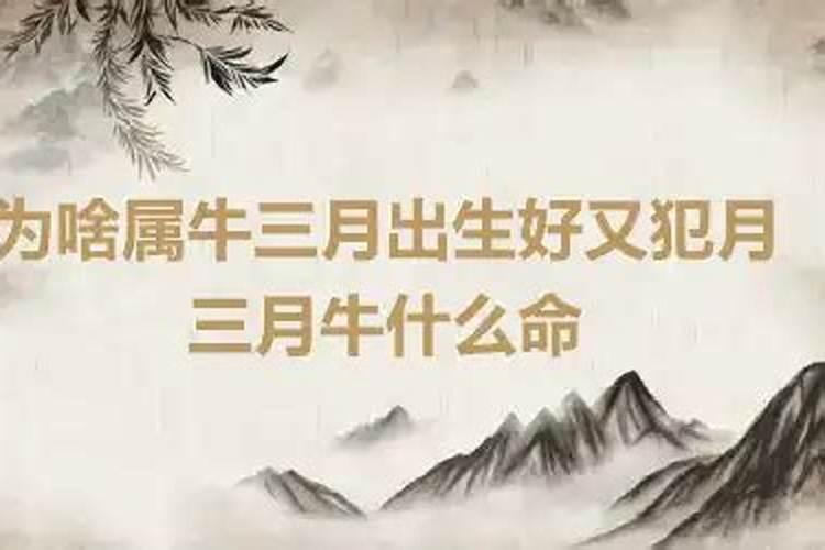 属牛生在三月好不好