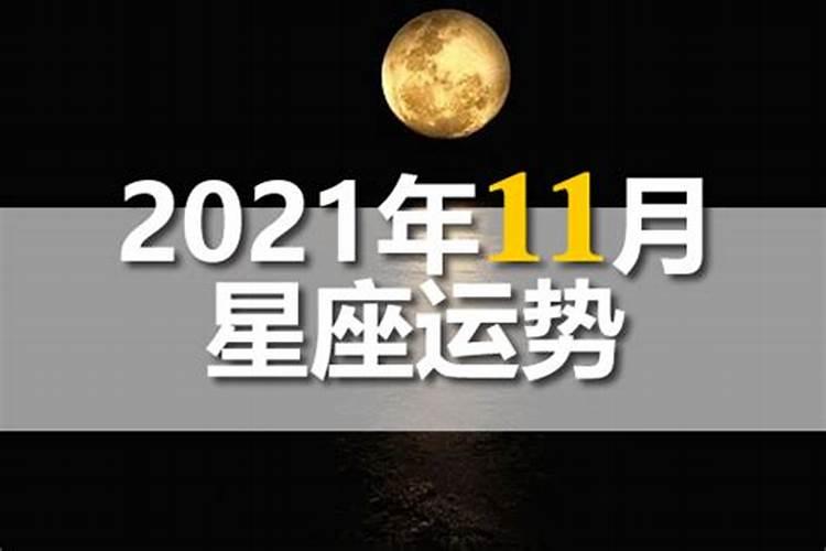 柒爸2021年11月星座运势