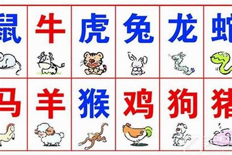 属相不合八字不合怎么办