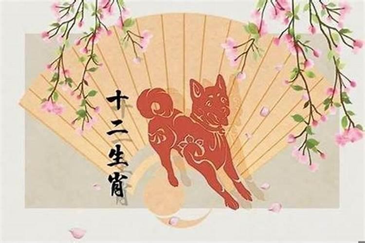 82年属狗的今年桃花运如何