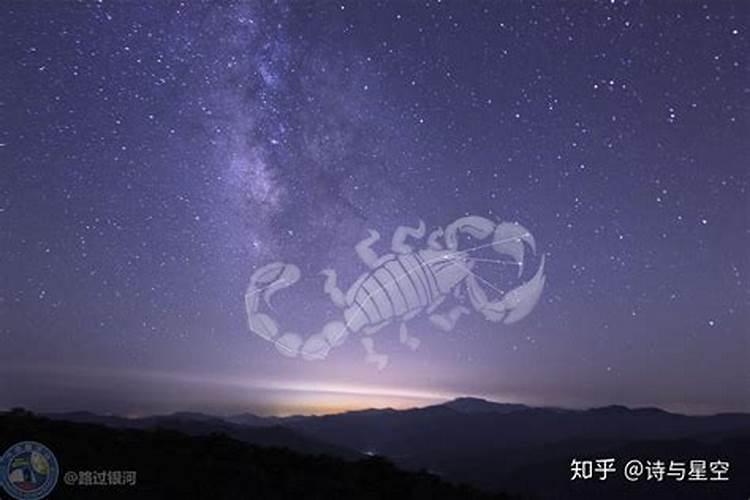 天蝎座是人数最多的星座吗