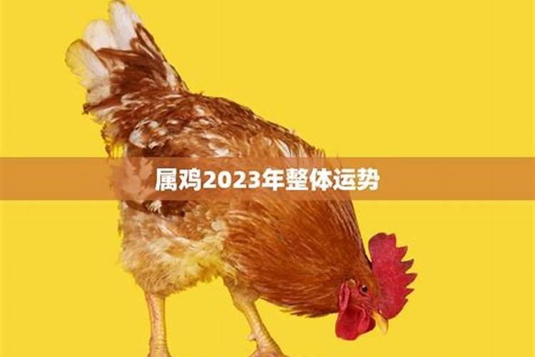 93年的鸡2023年婚姻怎么样