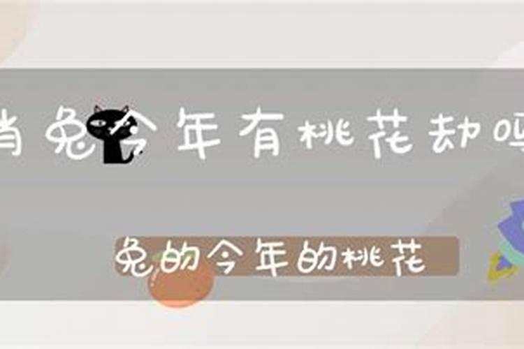 属兔的桃花运在今年什么时候结束