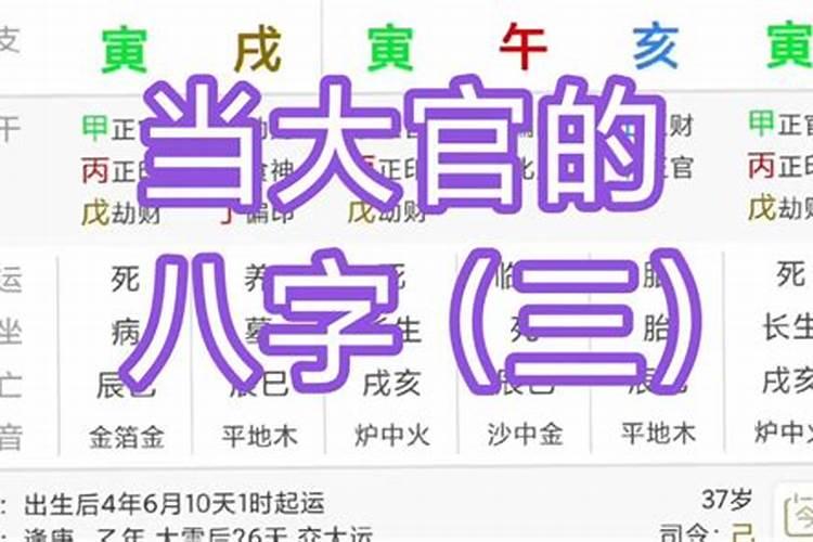 大官的八字案例