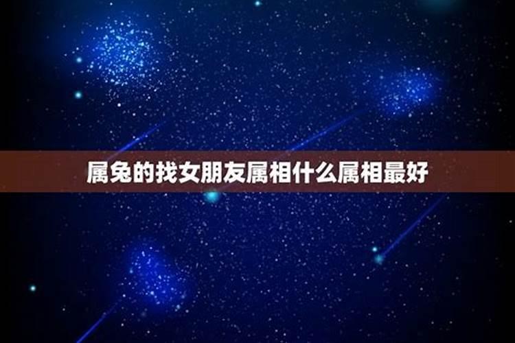 属兔的找什么属相好