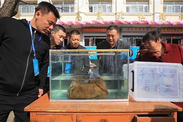 怎么化解地里挖出太岁