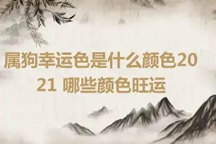 属狗的吉祥色是什么颜色2020年