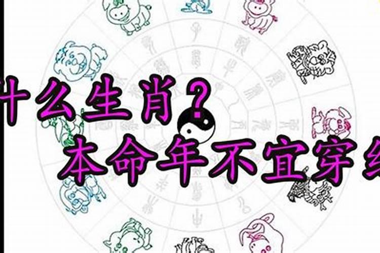 2023属鸡5月份运程如何