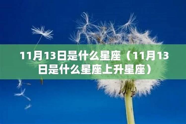 阳历11月13号属于什么星座