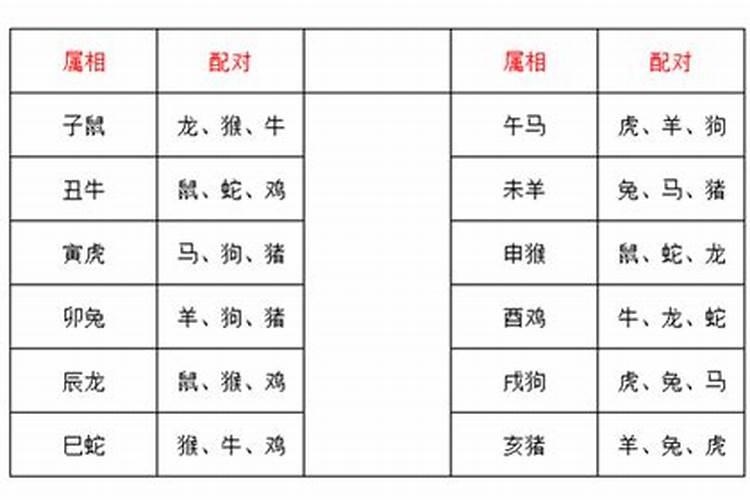 1982年属相婚配