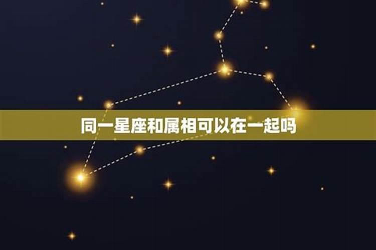 相同星座在一起