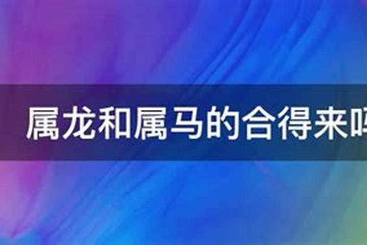 龙跟马属相合不合财运