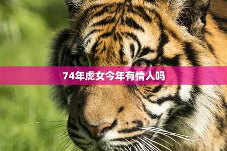 猴子2024年运势如何