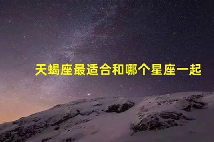 天蝎座最适合什么星座在一起生活