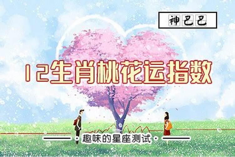 2021年上半年十二生肖桃花运