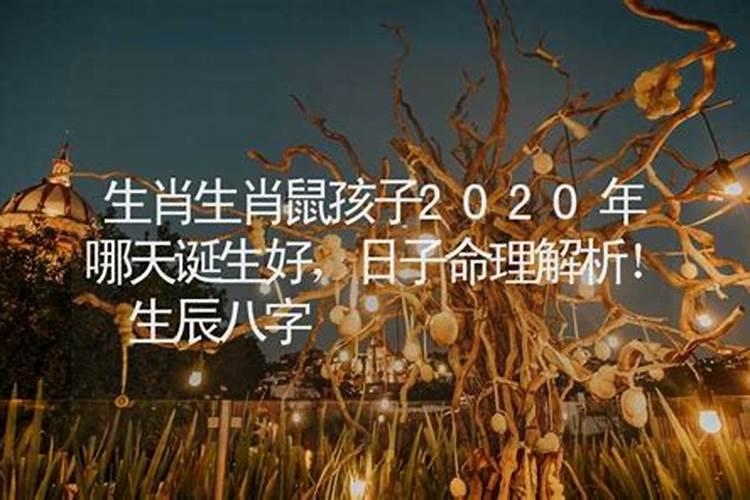 2020属鼠哪天生辰八字好