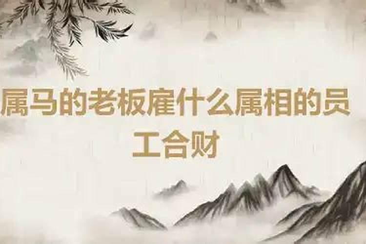 属马老板找属相的员工