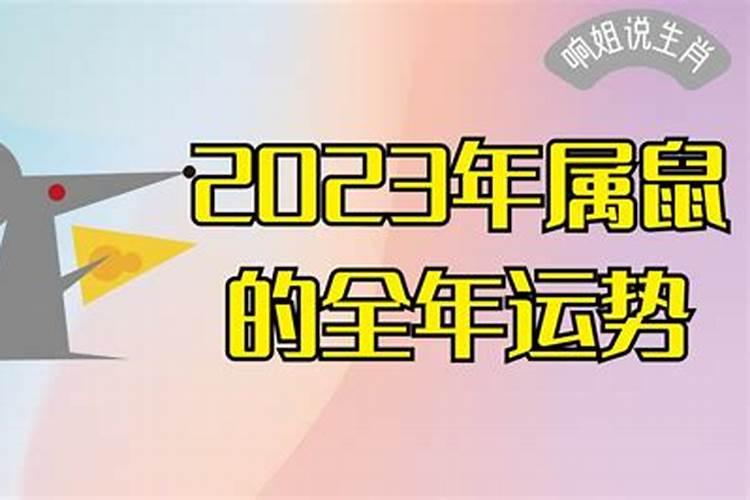 2023鼠的全年运势如何